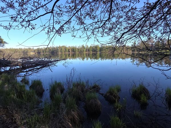 13595 Nuenfelt Road, Lewiston, MI 49756