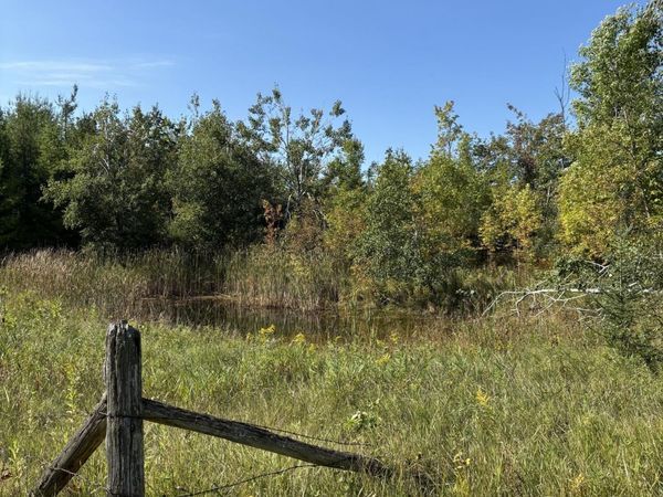 68.21 AC Salina Road, Lachine, MI 49753