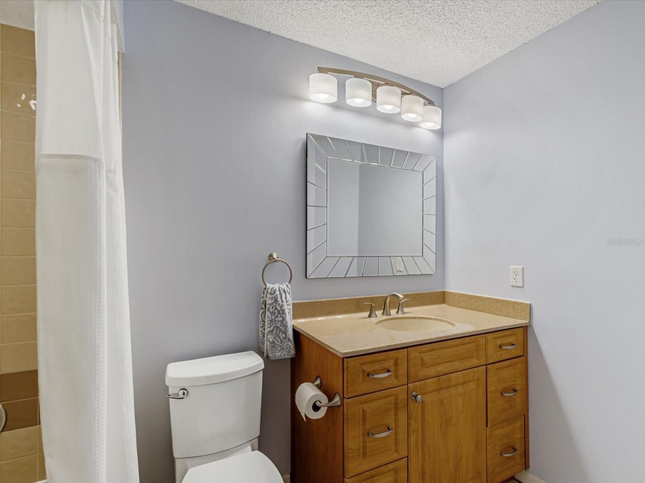 10836 Brookhaven Drive, New Port Richey, FL 34654 Photo