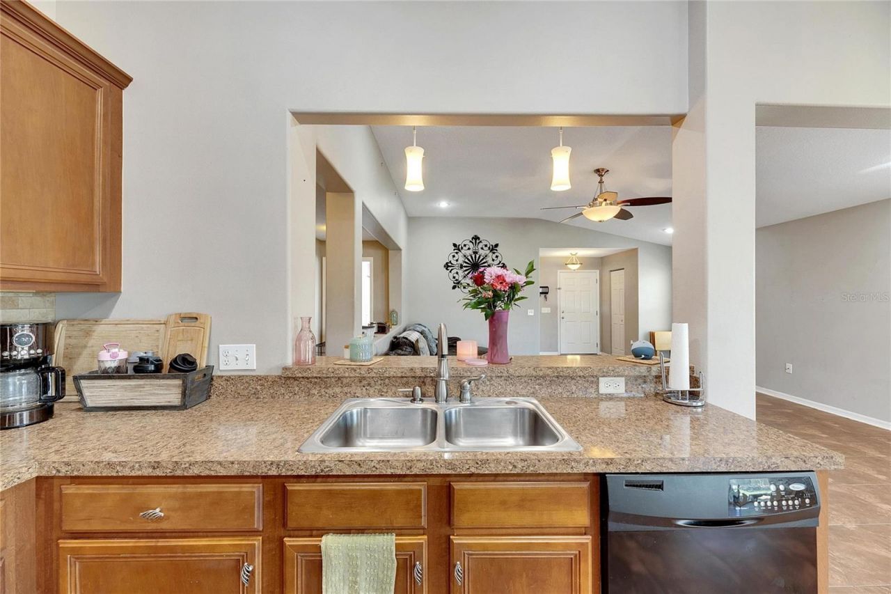 5204 Moon Shell Drive , Apollo Beach, FL 33572 Photo