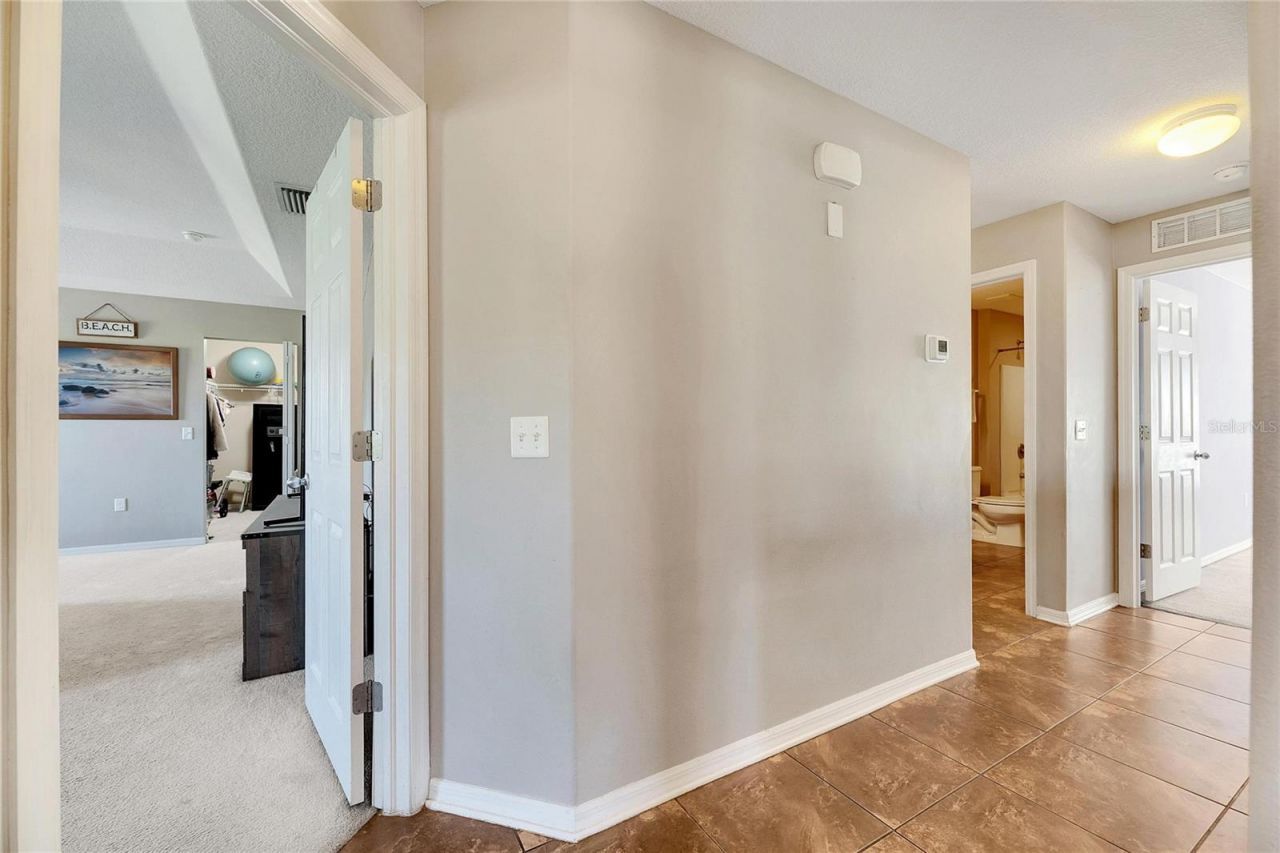 5204 Moon Shell Drive , Apollo Beach, FL 33572 Photo