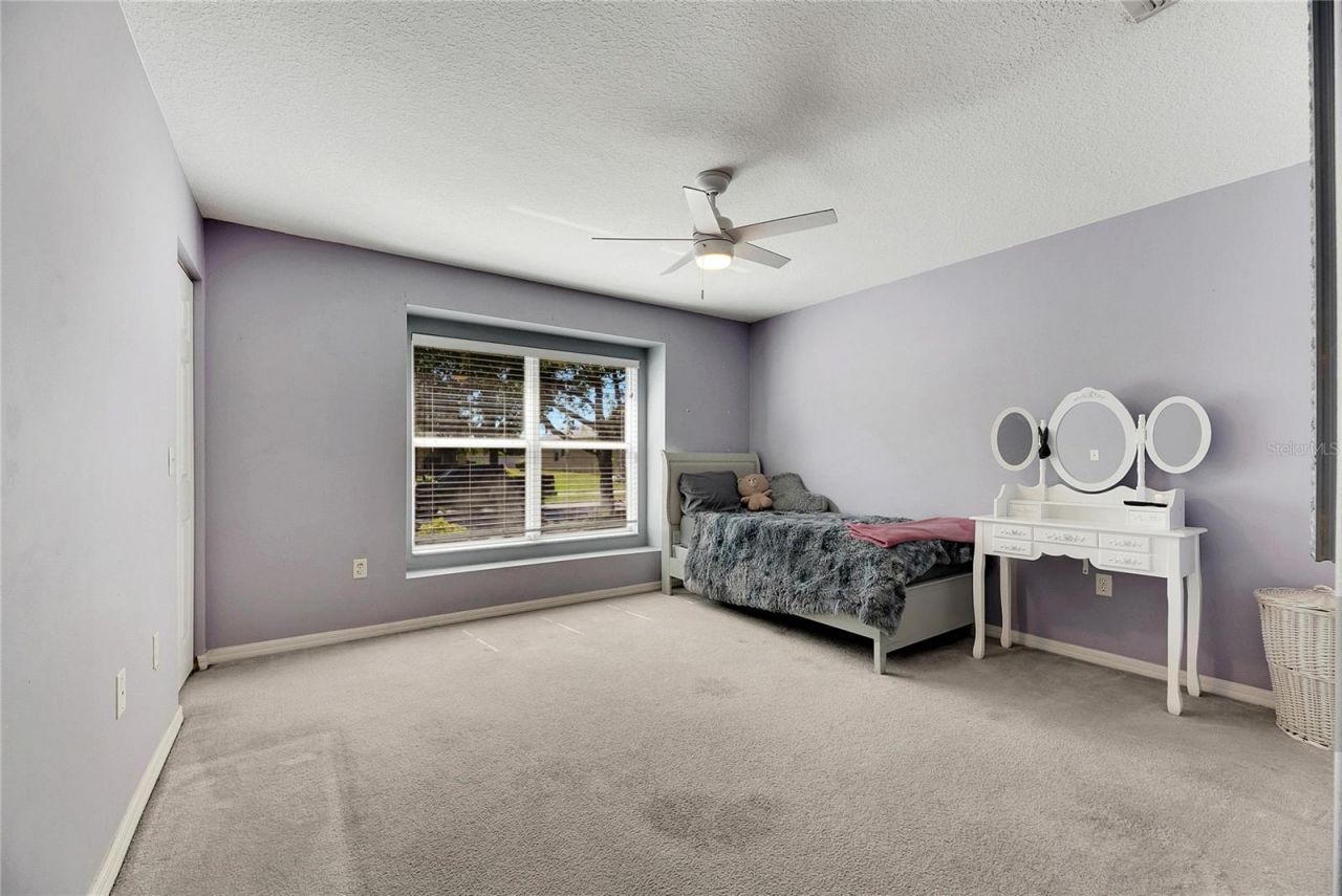 5204 Moon Shell Drive , Apollo Beach, FL 33572 Photo