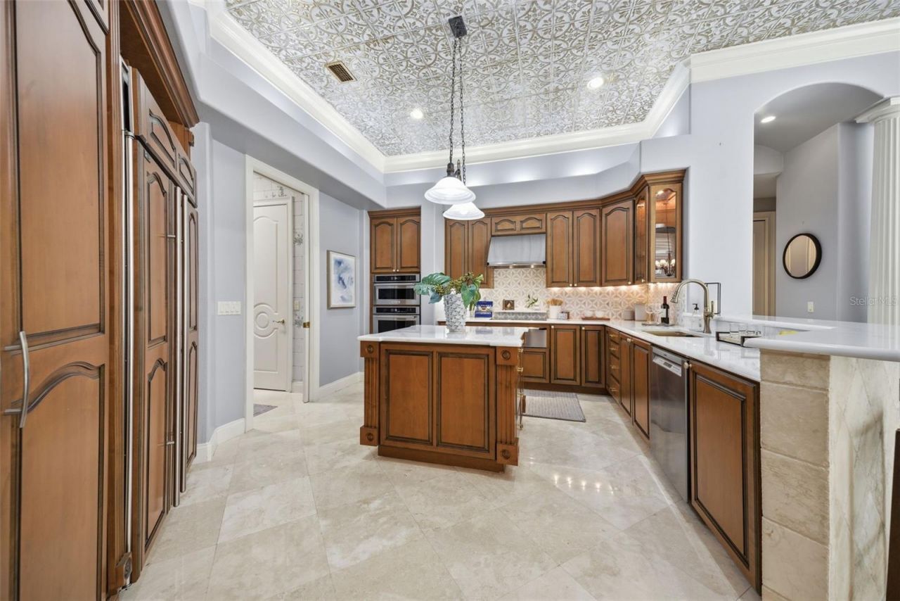 19115 Saint Emilion Court, Lutz, FL 33558 Photo