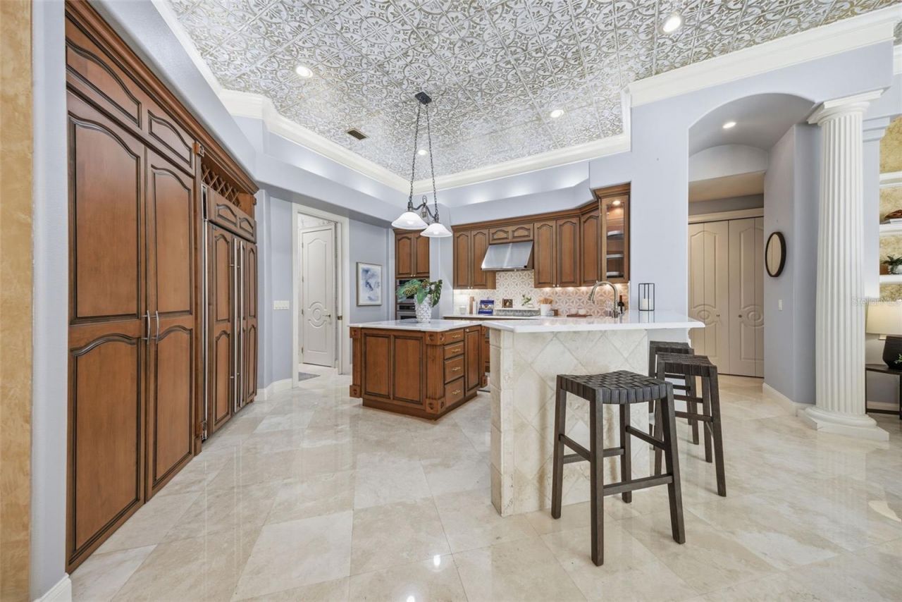 19115 Saint Emilion Court, Lutz, FL 33558 Photo