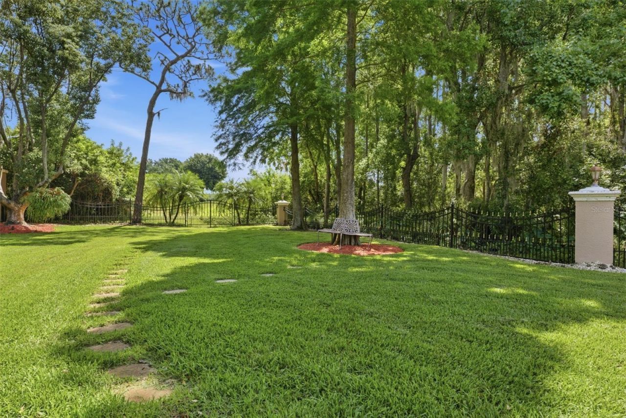 19115 Saint Emilion Court, Lutz, FL 33558 Photo