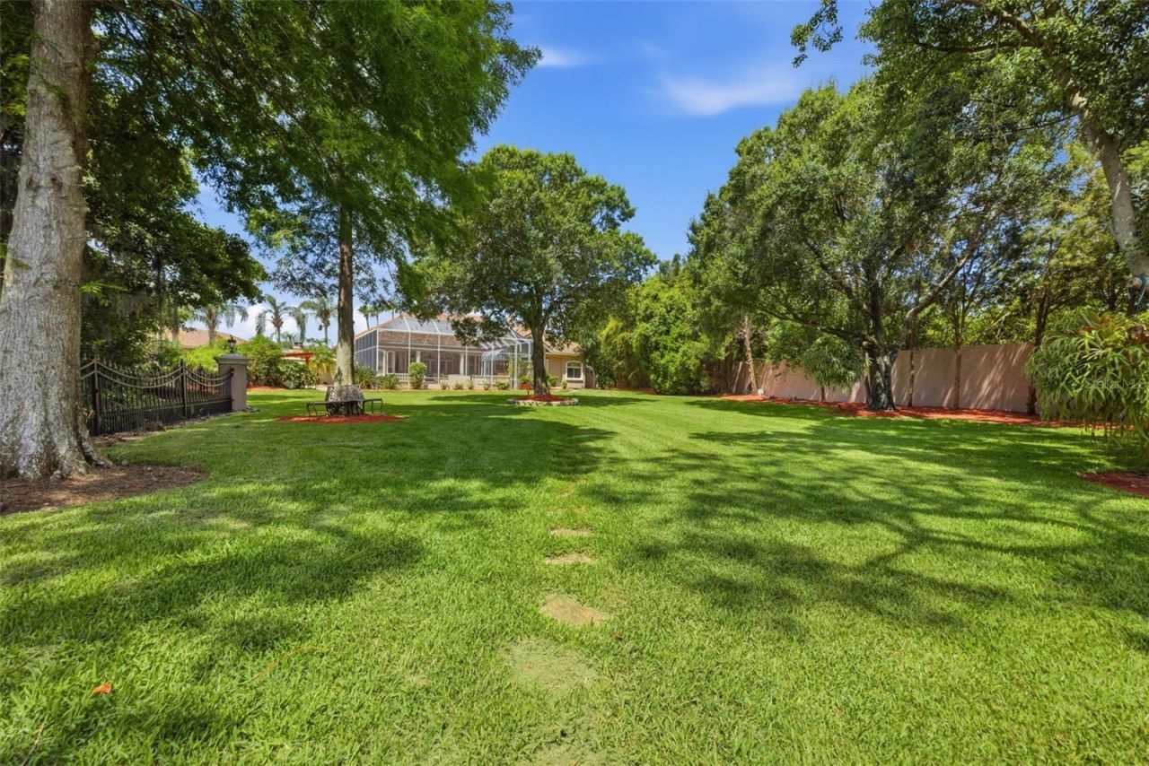 19115 Saint Emilion Court, Lutz, FL 33558 Photo