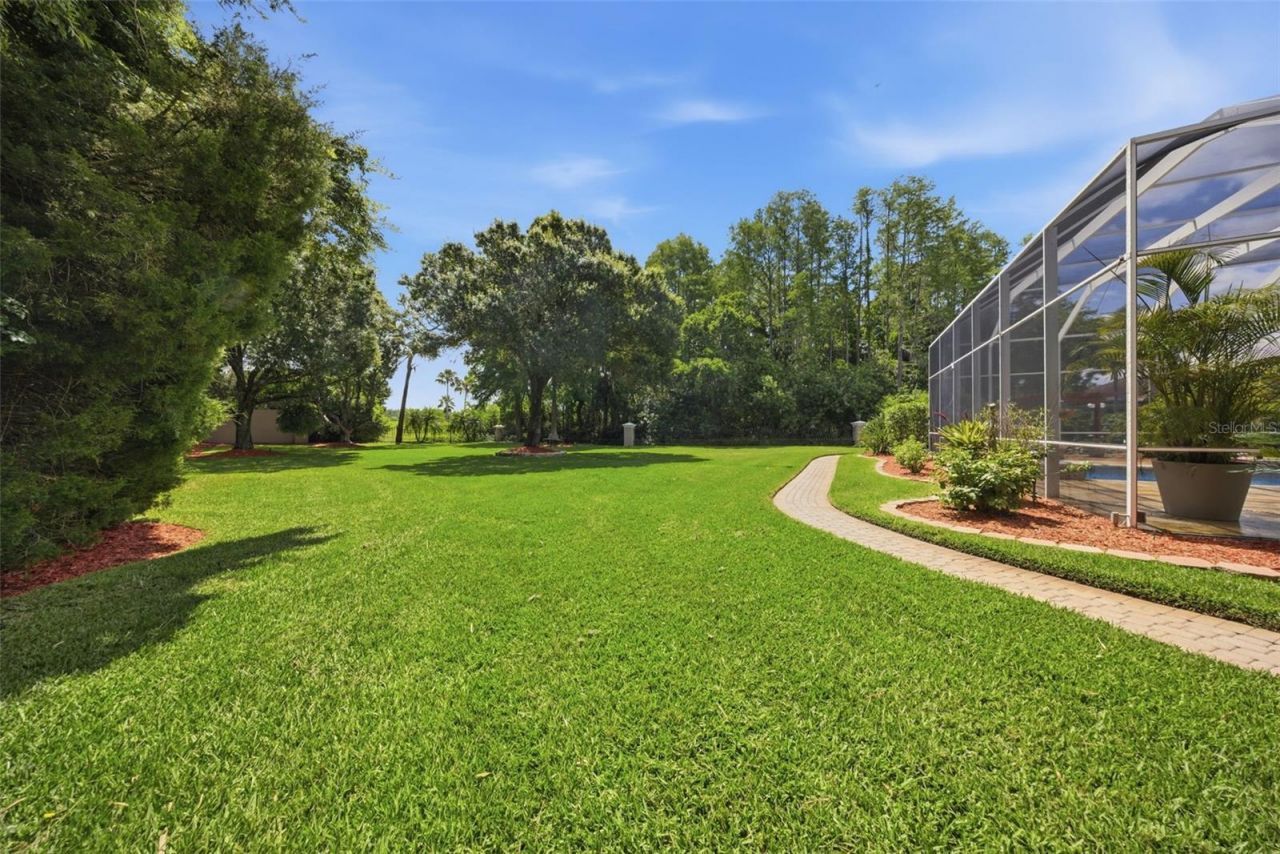 19115 Saint Emilion Court, Lutz, FL 33558 Photo