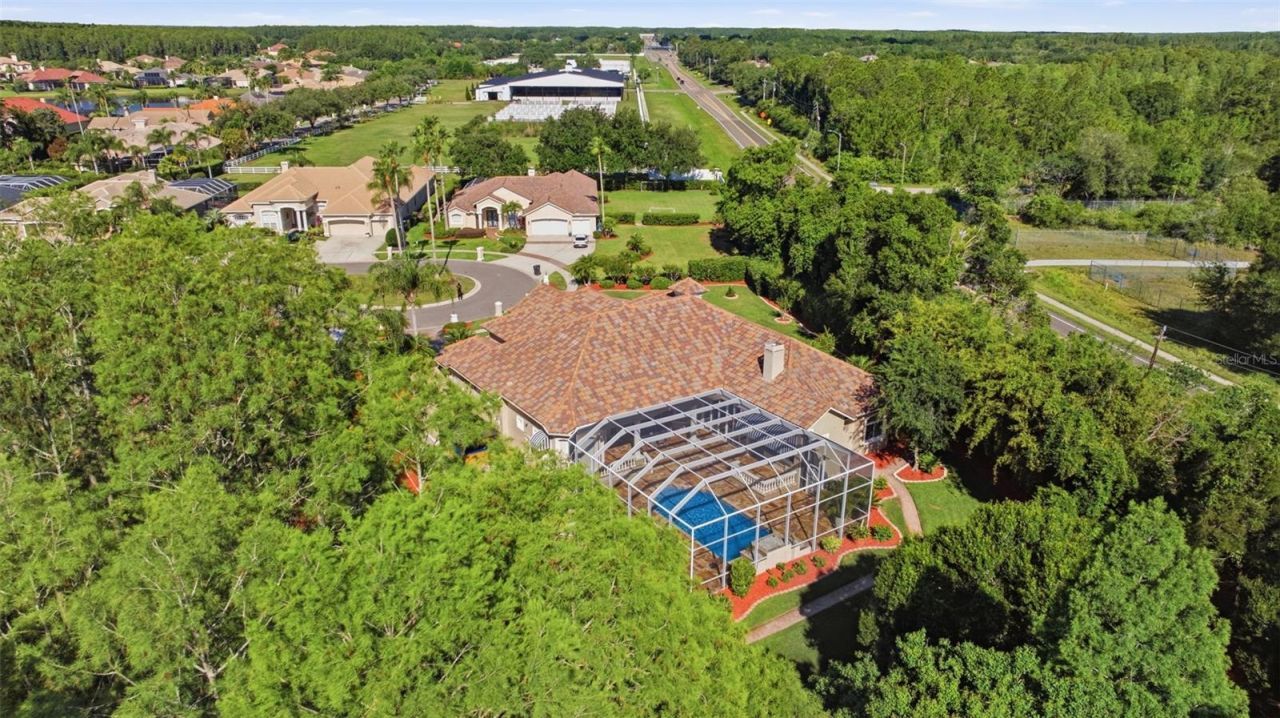 19115 Saint Emilion Court, Lutz, FL 33558 Photo