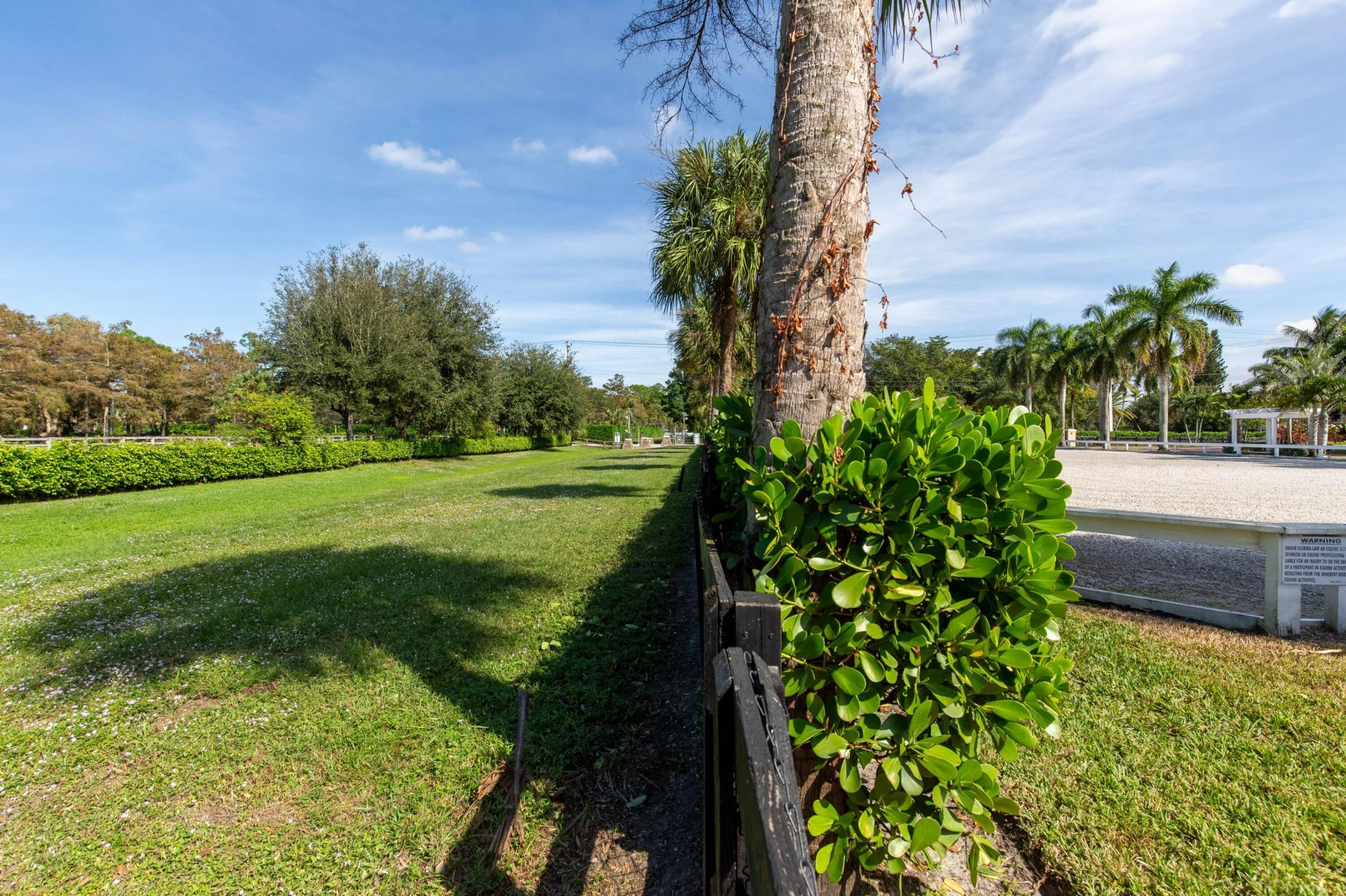 14943 Paddock Drive, Wellington, FL 33414 Photo