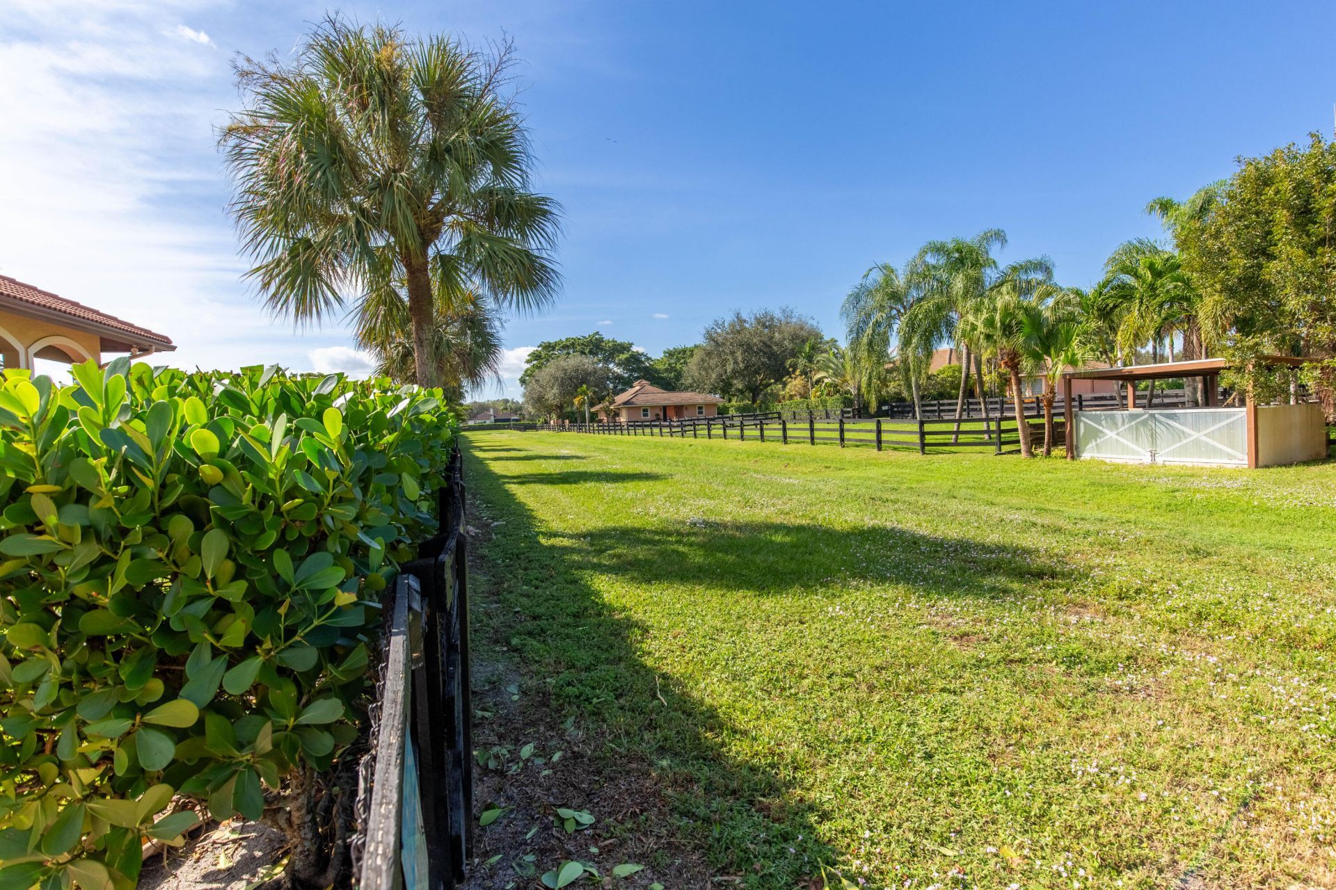14943 Paddock Drive, Wellington, FL 33414 Photo