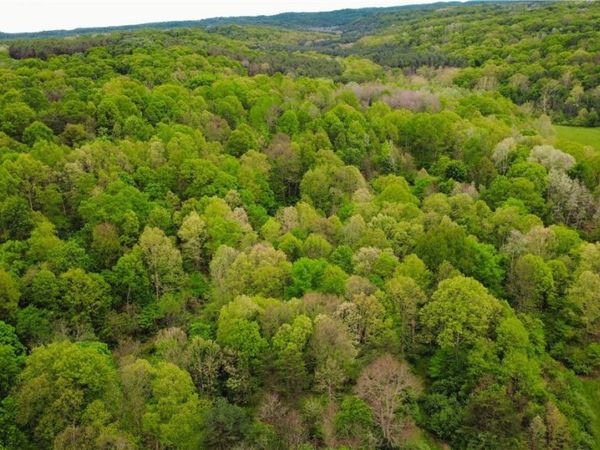 Morganville Rd Road, Corning, OH 43730