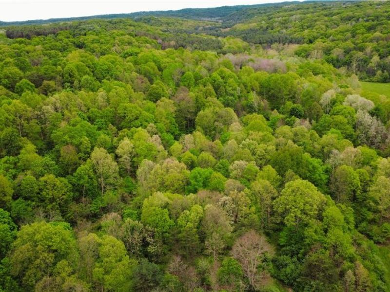 Morganville Rd Road, Corning, OH 43730 Photo 1