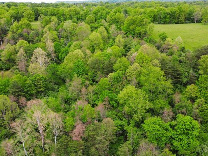 Morganville Rd Road, Corning, OH 43730 Photo 10