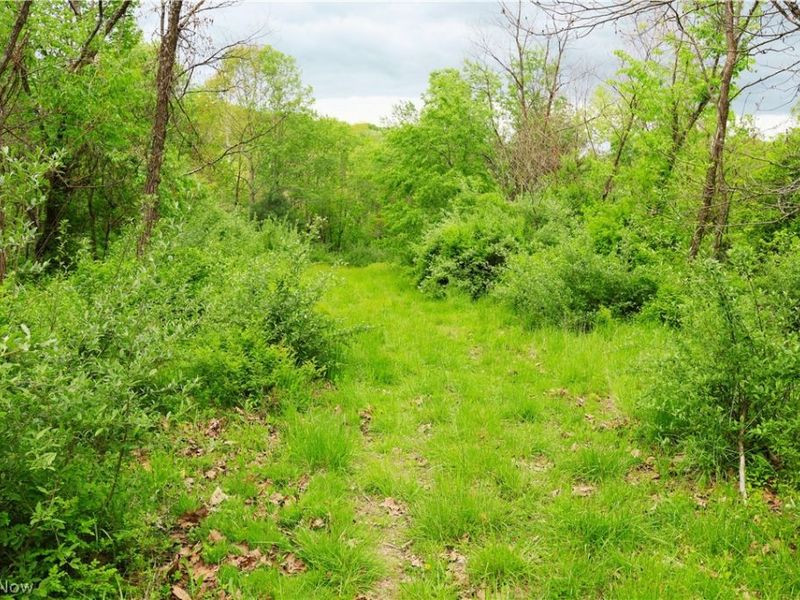 Morganville Rd Road, Corning, OH 43730 Photo 12