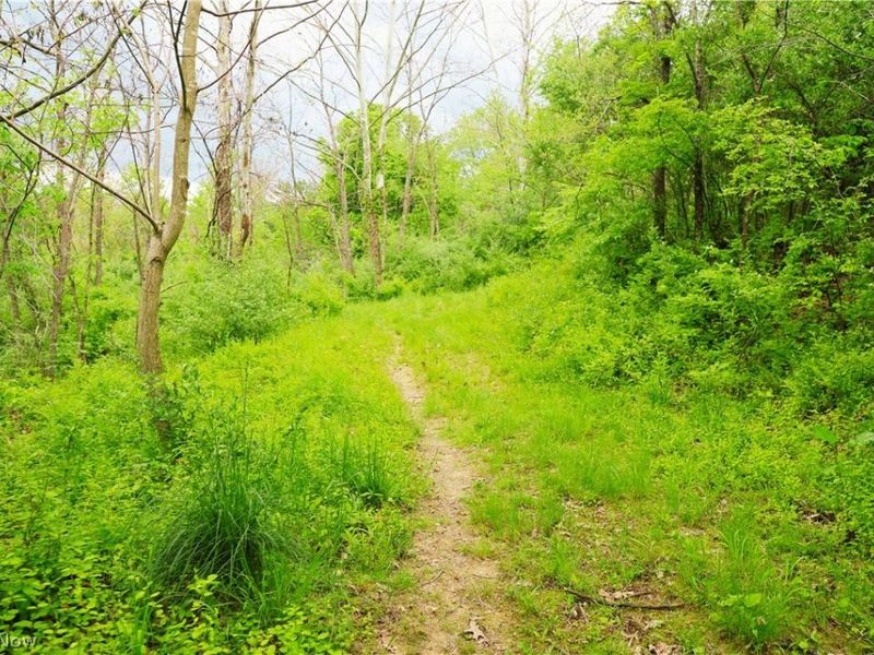Morganville Rd Road, Corning, OH 43730 Photo 13