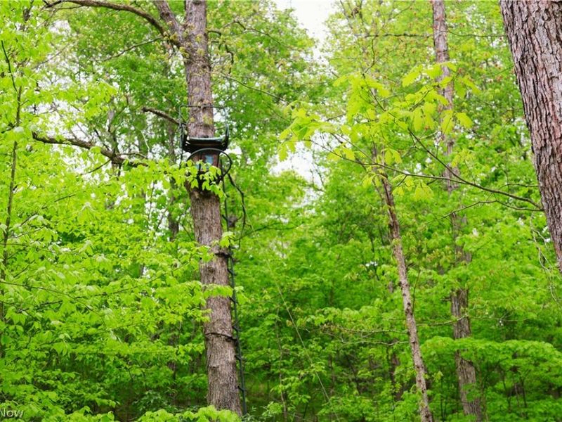 Morganville Rd Road, Corning, OH 43730 Photo 14