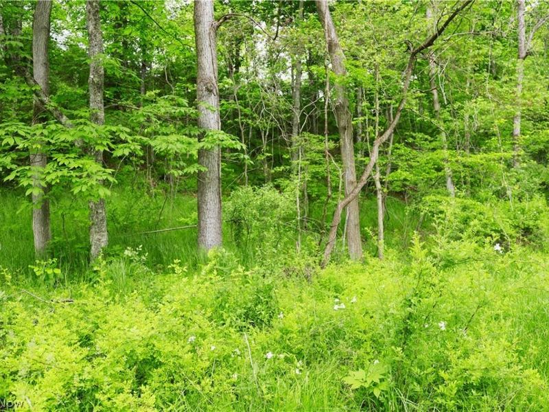 Morganville Rd Road, Corning, OH 43730 Photo 17