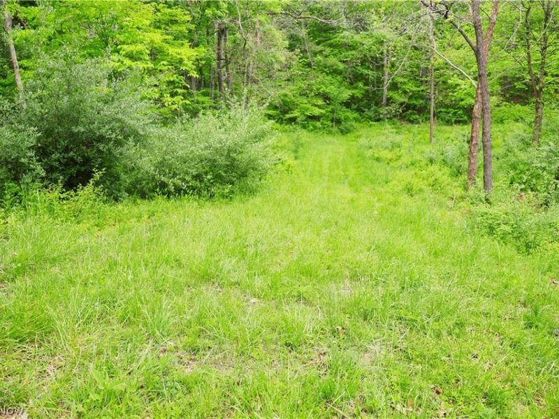 Morganville Rd Road, Corning, OH 43730 Photo 18
