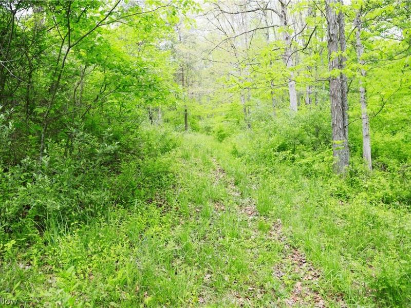 Morganville Rd Road, Corning, OH 43730 Photo 19