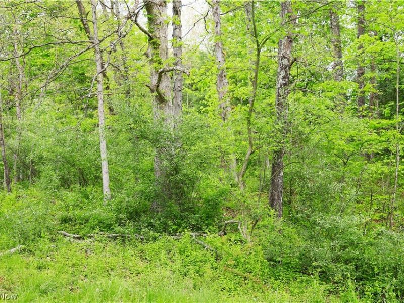 Morganville Rd Road, Corning, OH 43730 Photo 19