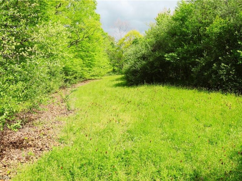 Morganville Rd Road, Corning, OH 43730 Photo 26
