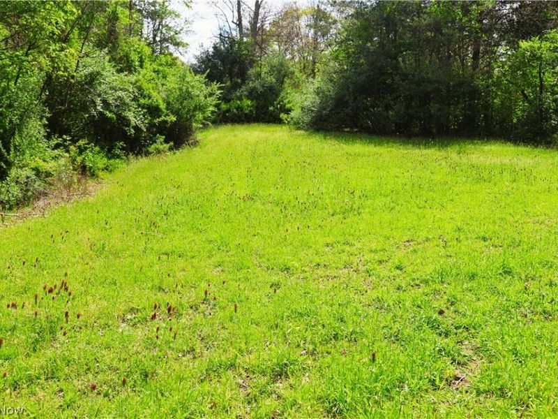 Morganville Rd Road, Corning, OH 43730 Photo 29