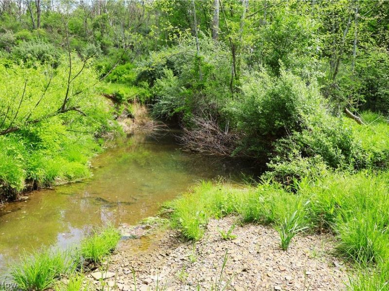 Morganville Rd Road, Corning, OH 43730 Photo 34