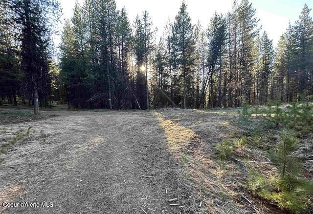 162 Coopers Ln, Dixie, ID 83525 Main Photo