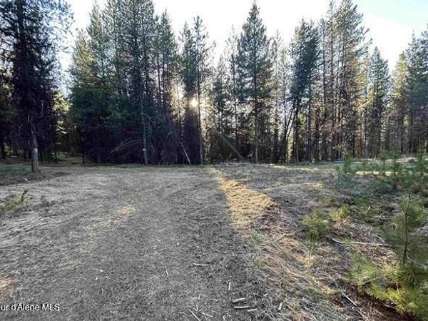 162 Coopers LN, Dixie, ID 83525