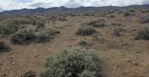 0000 Shawnee Road, Lot #21, Stagecoach, NV 89429 Photo