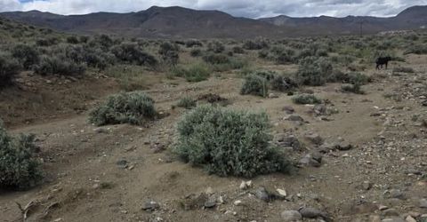0000 Shawnee Road, Lot #21, Stagecoach, NV 89429 Photo