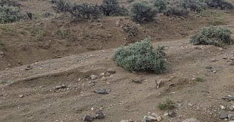 0000 Shawnee Road, Lot #21, Stagecoach, NV 89429 Photo