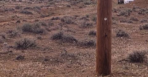 0000 Shawnee Road, Lot #21, Stagecoach, NV 89429 Photo