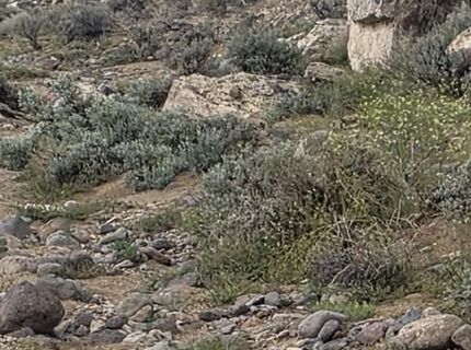 0000 Shawnee Road, Lot #21, Stagecoach, NV 89429 Photo