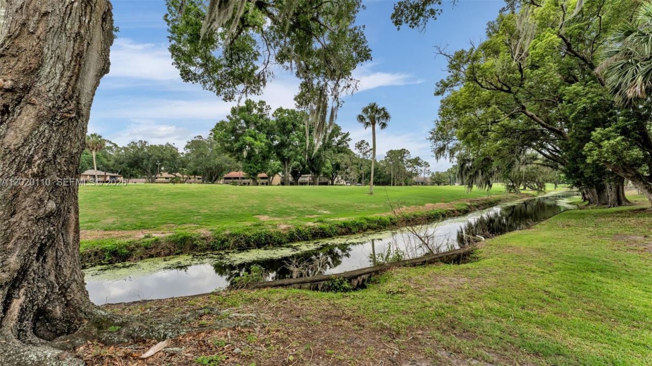 421 Lone Palm Drive , Lakeland, FL 33815 Photo