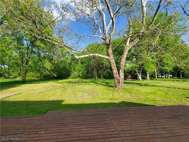 724 Briggs Road, Leavittsburg, OH 44430 Photo 23