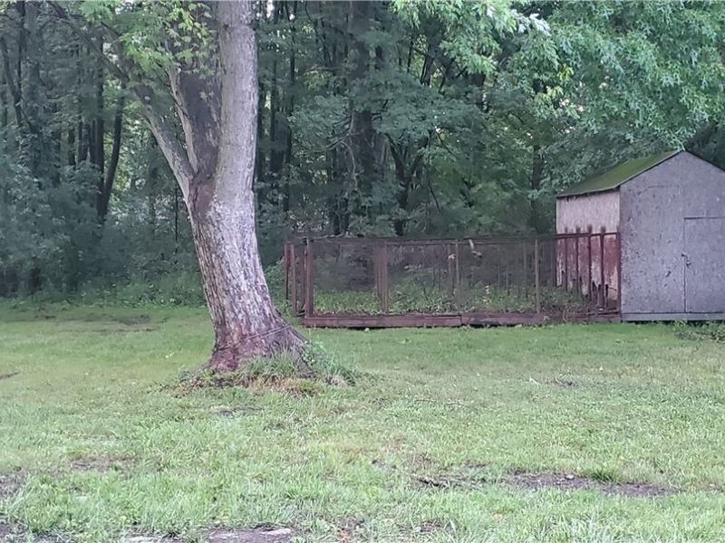 724 Briggs Road, Leavittsburg, OH 44430 Photo 31