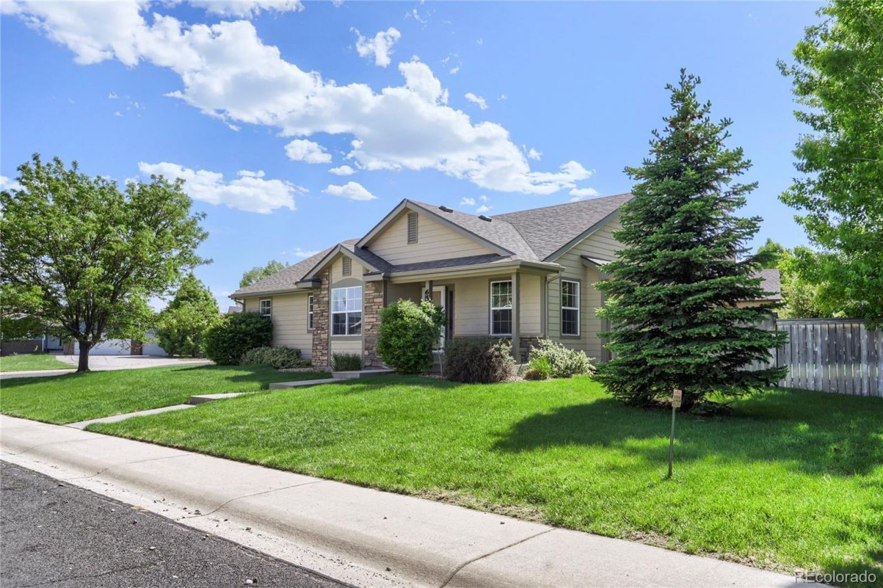 654 Foxtail Way, Windsor, CO 80550 Main Photo