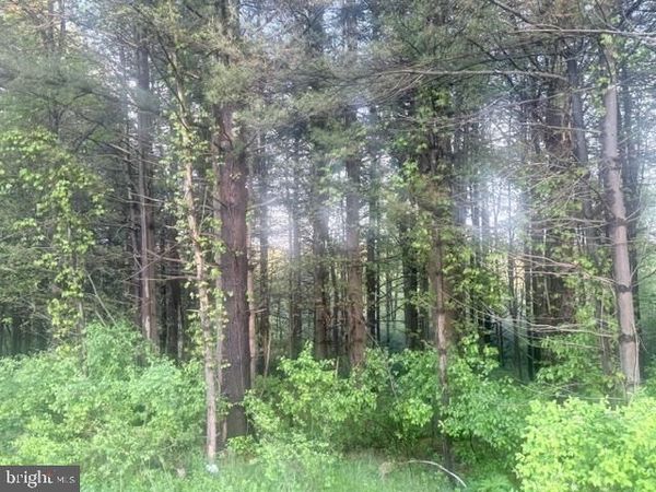 HUTTON ROAD(2 ACRES) , OAKLAND, MD 21550