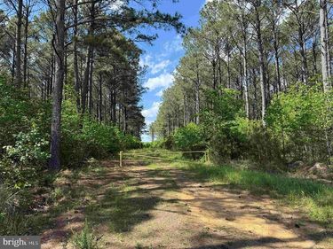 TAYLORS MILL ROAD (TRACT: AZALEA COMP 18-2), EMPORIA, VA 23847