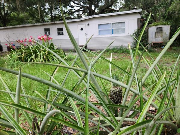 24815 AUDREY ROAD, LAND O LAKES, FL 34639