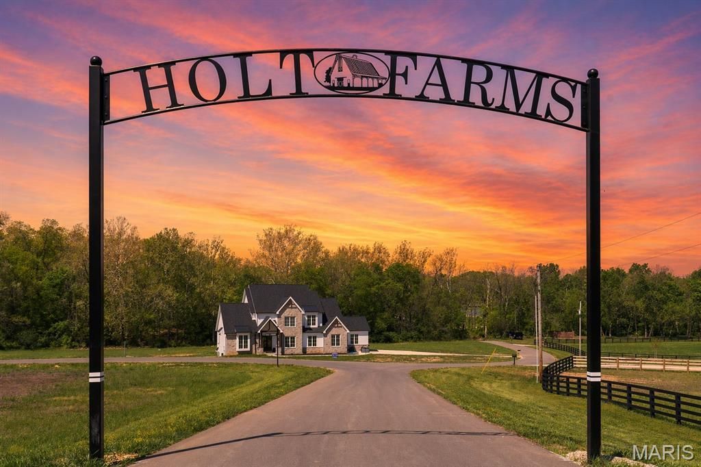 Lot 25 Holt Summit Court, Wentzville, MO 63385 Main Photo