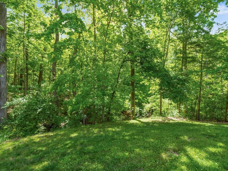 288 Bruce Court , Westerville, OH 43081 Photo 39