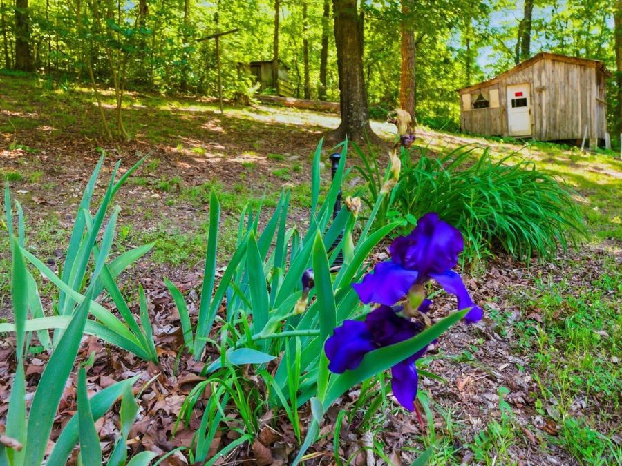 Property Image 21