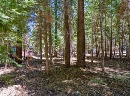 7234 3rd Avenue, Tahoma, CA 96142 Photo