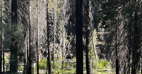 9 Feather River Homesites, Chester, CA 96020 Photo