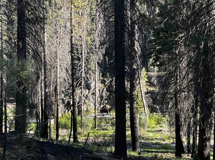 9 Feather River Homesites, Chester, CA 96020 Photo