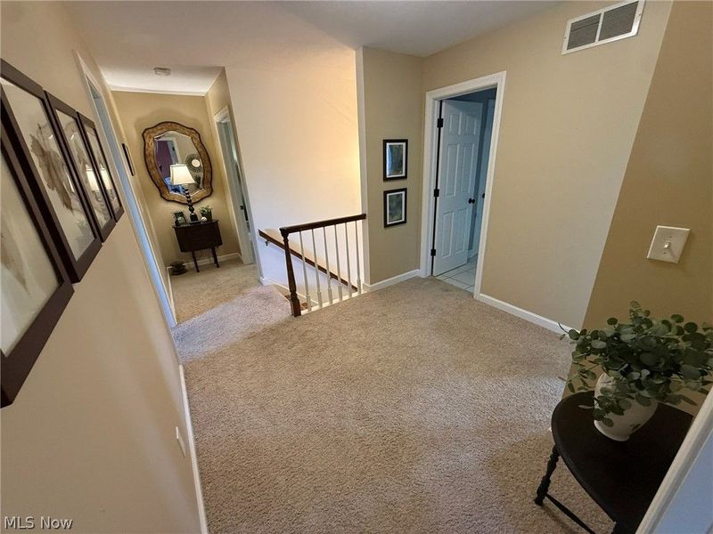 6661 Smucker Drive, Westfield Center, OH 44251 Photo 27