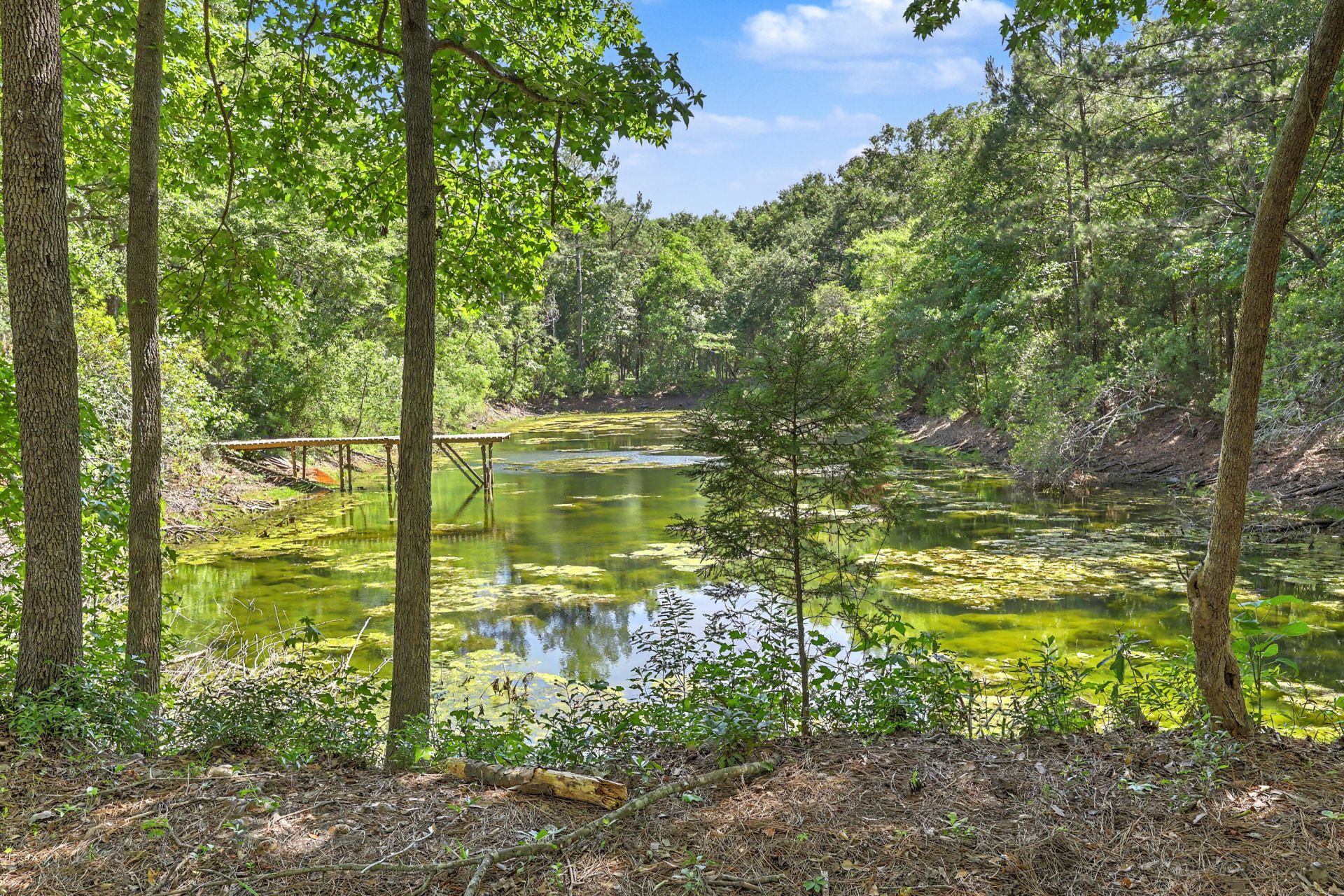 5709 Old Jacksonboro Road Photo 31