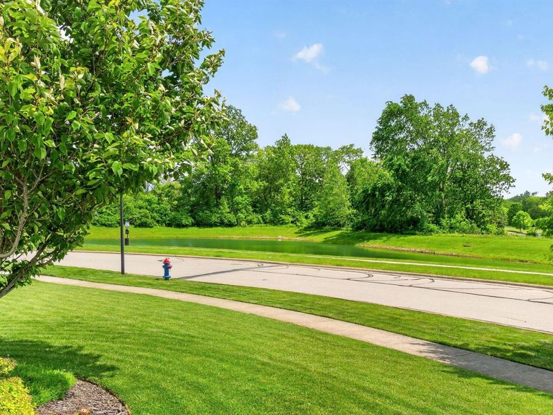 722 Deer Run Drive, Marysville, OH 43040 Photo 61